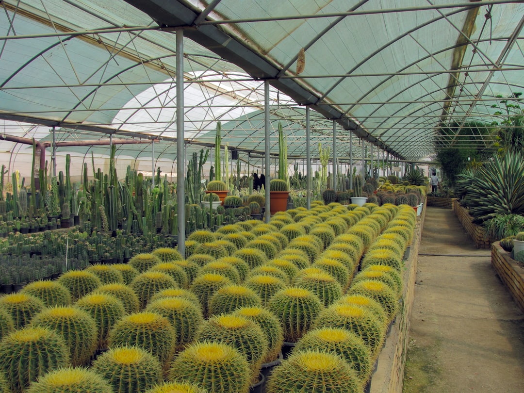 Growing Green: The Best Plant Nurseries for Your Garden