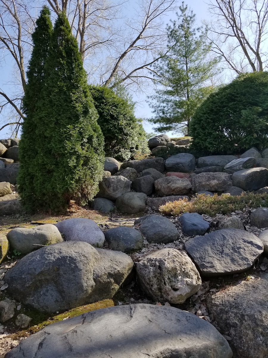 Photo "landscaping near me"
