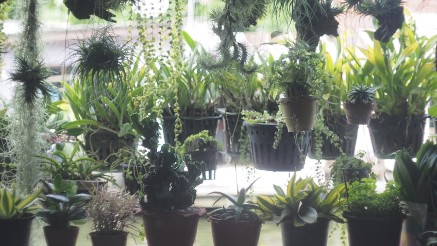 Photo "plant nurseries near me"