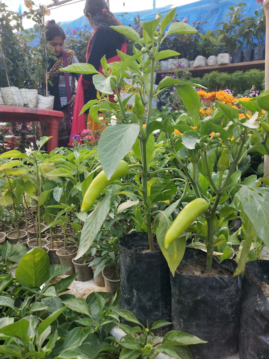Transform Your Outdoor Space with Home Depot Garden