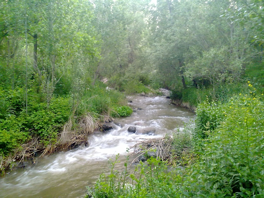 Photo Streameast