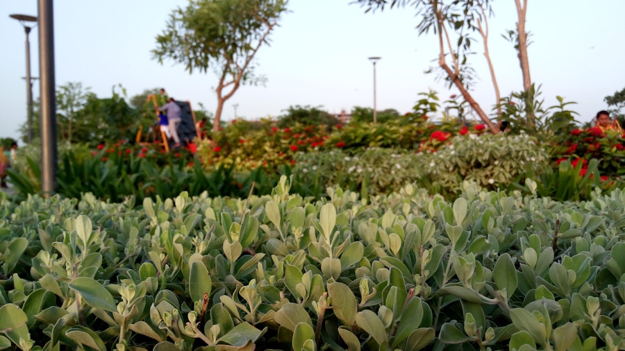 Photo Home Depot garden