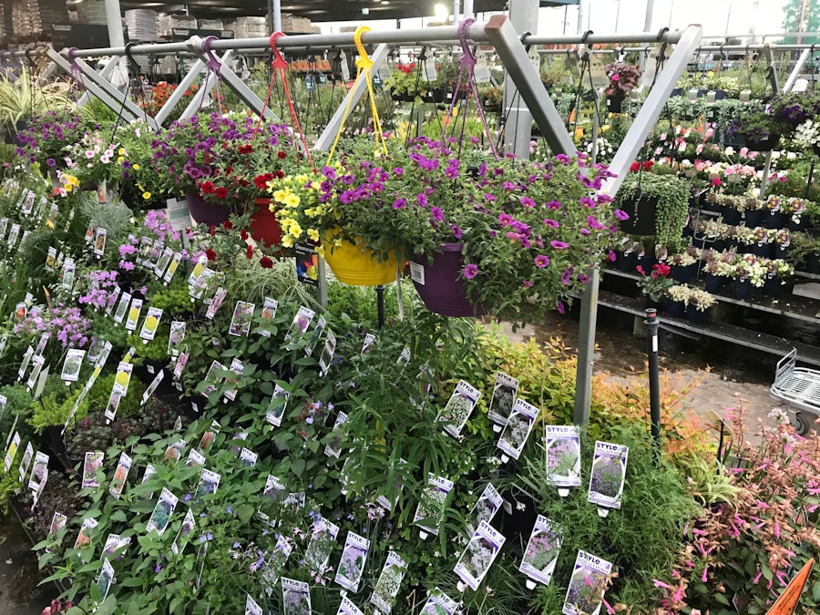 Photo "plant nurseries near me"
