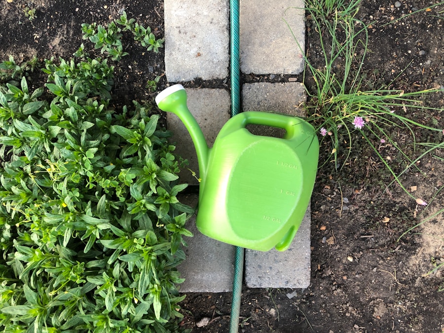 Green Thumb: The Ultimate Guide to Gardening