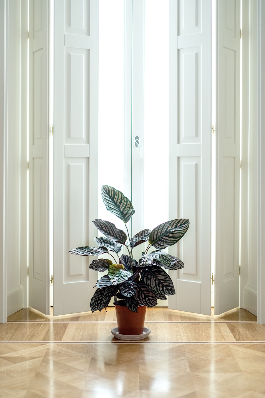Photo Indoor planter
